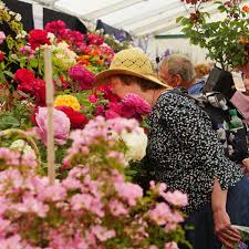 Blenheim Palace Flower Show: Sunday 26th June