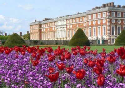 Tulip Mania at Hampton Court Palace: Wednesday 27th April