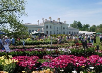 National Flower Show at Hylands House: Friday 17th May.
