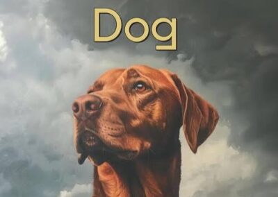 The Farmers Dog & Diddly Squat Farm Shop